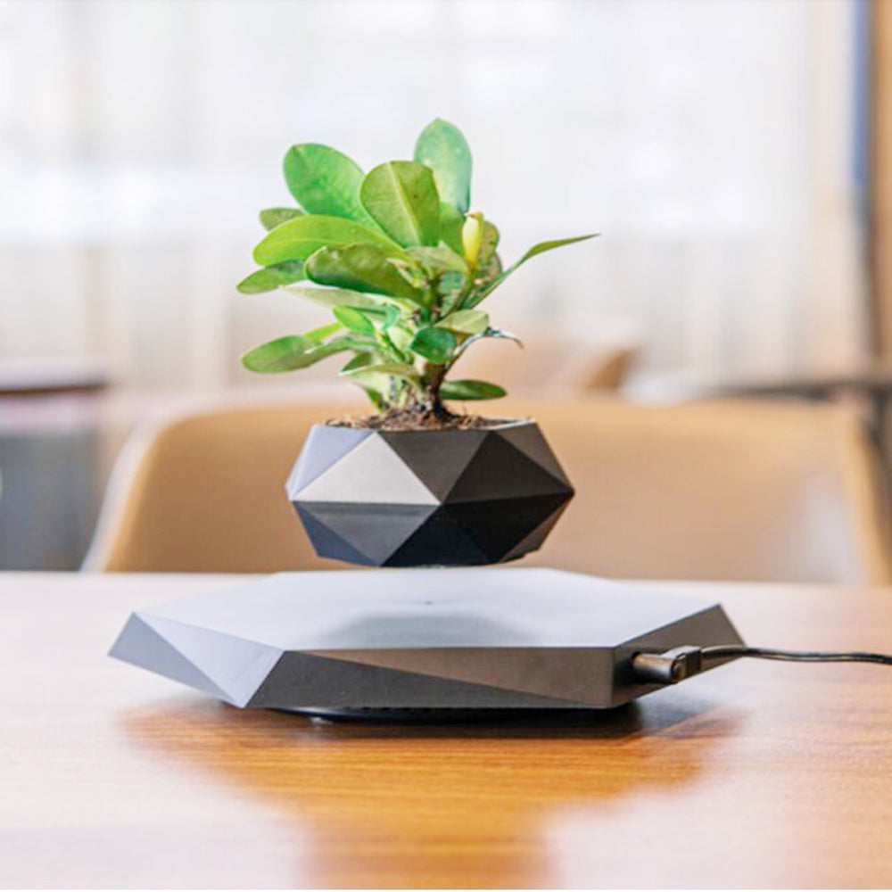 Magnetic Levitating Bonsai Air Potted Planter - Home and Galaxy